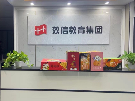 武汉效信教育咨询 为您的梦想保驾护航
